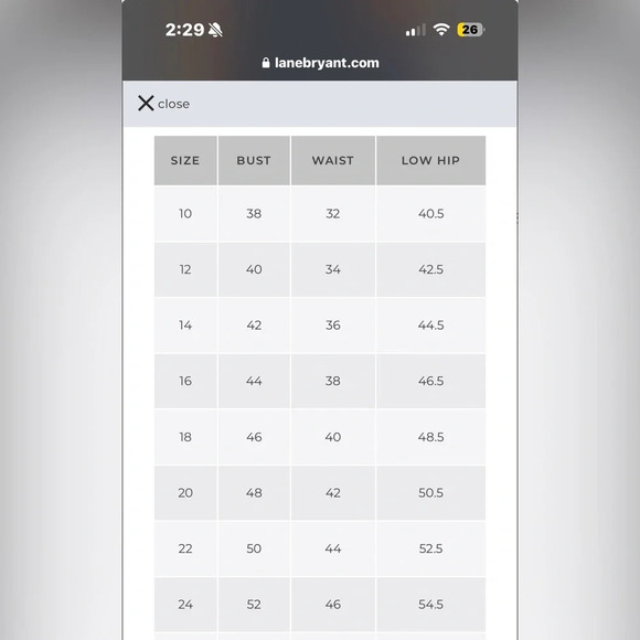 Lane Bryant Plus Size Floral Sweetheart Neck Tunic Tee 22/24 Casual Chic - Picture 11 of 11